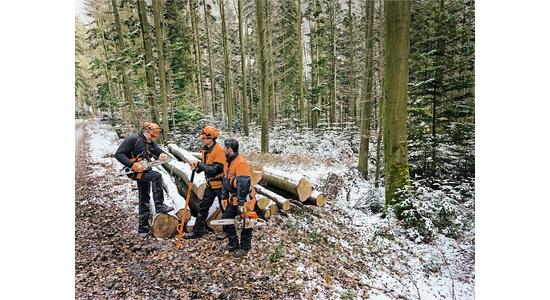 Hull a hó, hull a hó, mesebeli álom… - Téli üzem, vagy üzemszünet a Stihl-gépeknél